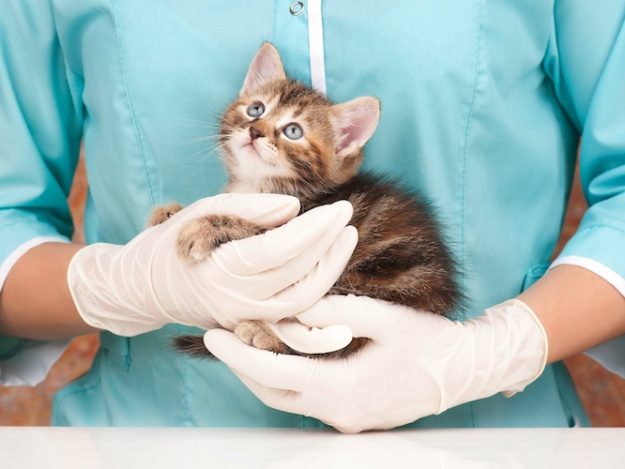 Bezeichnung „Klinik“ in der Werbung II