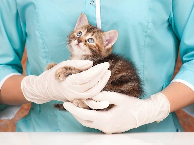 Bezeichnung „Klinik“ in der Werbung II Bezeichnung „Klinik“ in der Werbung II